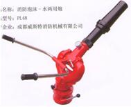 PL48車(chē)載泡沫消防炮